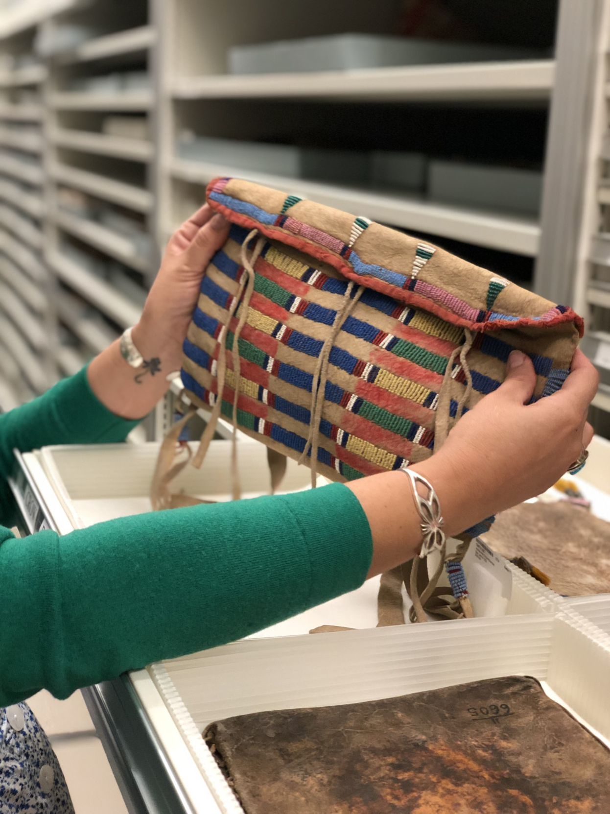 Research at Field Museum